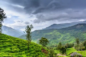 Munnar 1