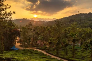 Wayanad